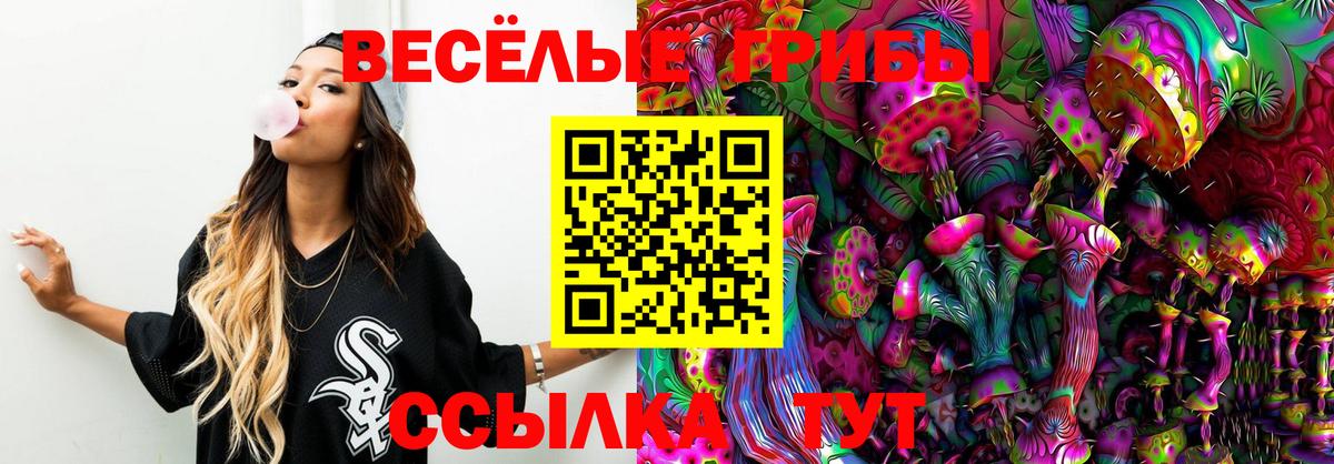 Псилоцибиновые грибы GOLDEN TEACHER Кемерово