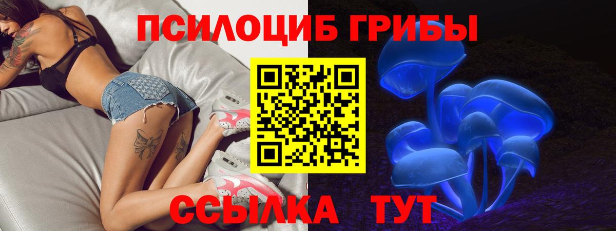 Псилоцибиновые грибы GOLDEN TEACHER  Вход с VPN  Кемерово  Псилоцибиновые грибы MAGIC MUSHROOMS 